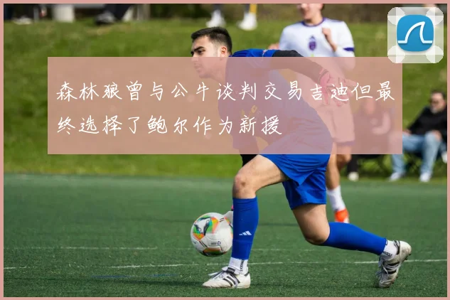 森林狼曾与公牛谈判交易吉迪但最终选择了鲍尔作为新援