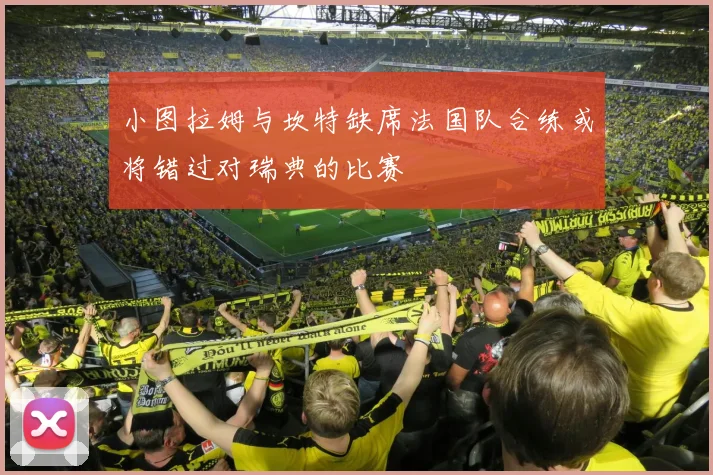 小图拉姆与坎特缺席法国队合练或将错过对瑞典的比赛