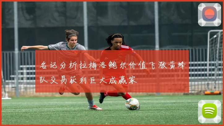 名记分析拉梅洛鲍尔价值飞涨黄蜂队交易获利巨大成赢家