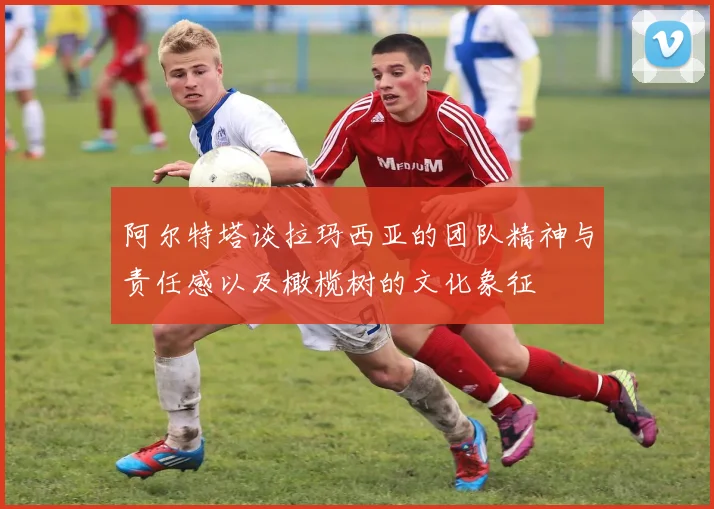 阿尔特塔谈拉玛西亚的团队精神与责任感以及橄榄树的文化象征